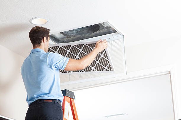 Best HVAC air duct cleaning  in Dock Junction, GA